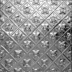 apm_marian_rose_6x6_rsz