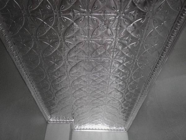 apm_camellia_egg__dart_rsz