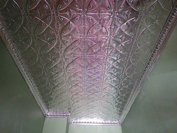 apm_camillia_ceiling_raw_opt