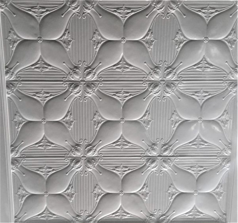 apm_carina_ceiling_3_opt