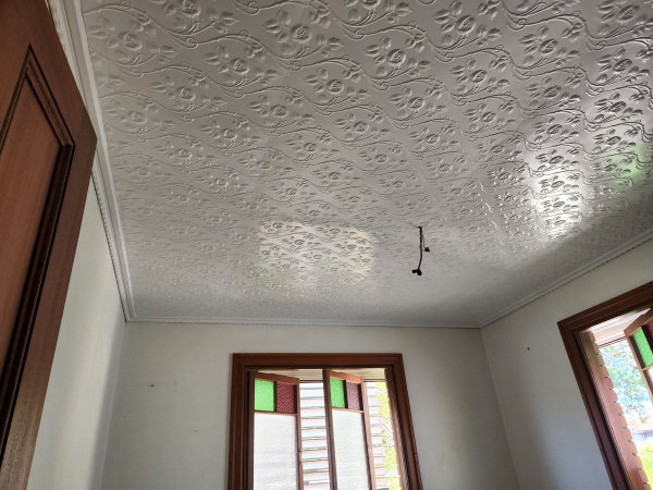 apm_climbing_rose_brisbane_3_rsz