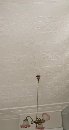 apm myrtle bank white ceiling 2