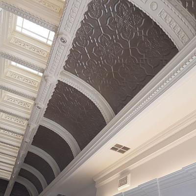 Apm Newington Inserts Opt