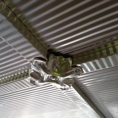 Apm 4 New Rosette Close Up Opt